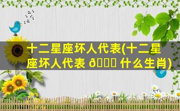 十二星座坏人代表(十二星座坏人代表 💐 什么生肖)
